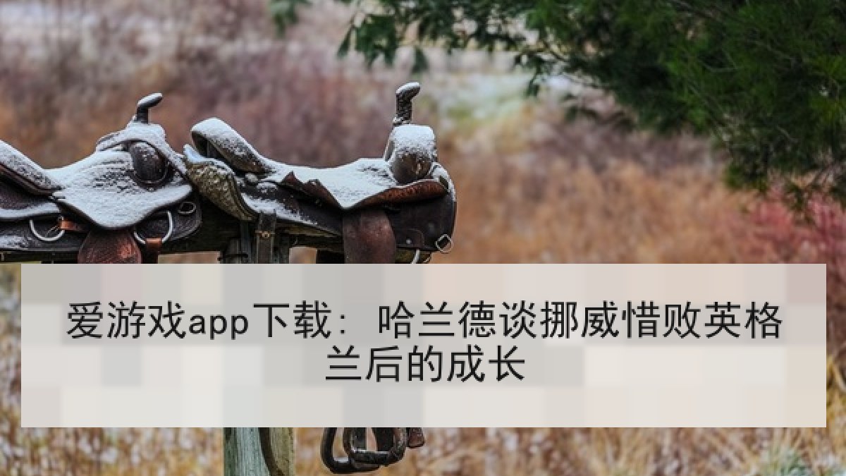 爱游戏app下载: 哈兰德谈挪威惜败英格兰后的成长