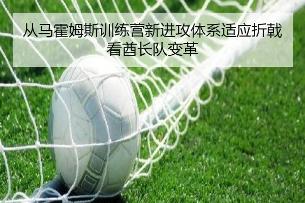 从马霍姆斯训练营新进攻体系适应折戟看酋长队变革