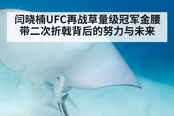 闫晓楠UFC再战草量级冠军金腰带二次折戟背后的努力与未来